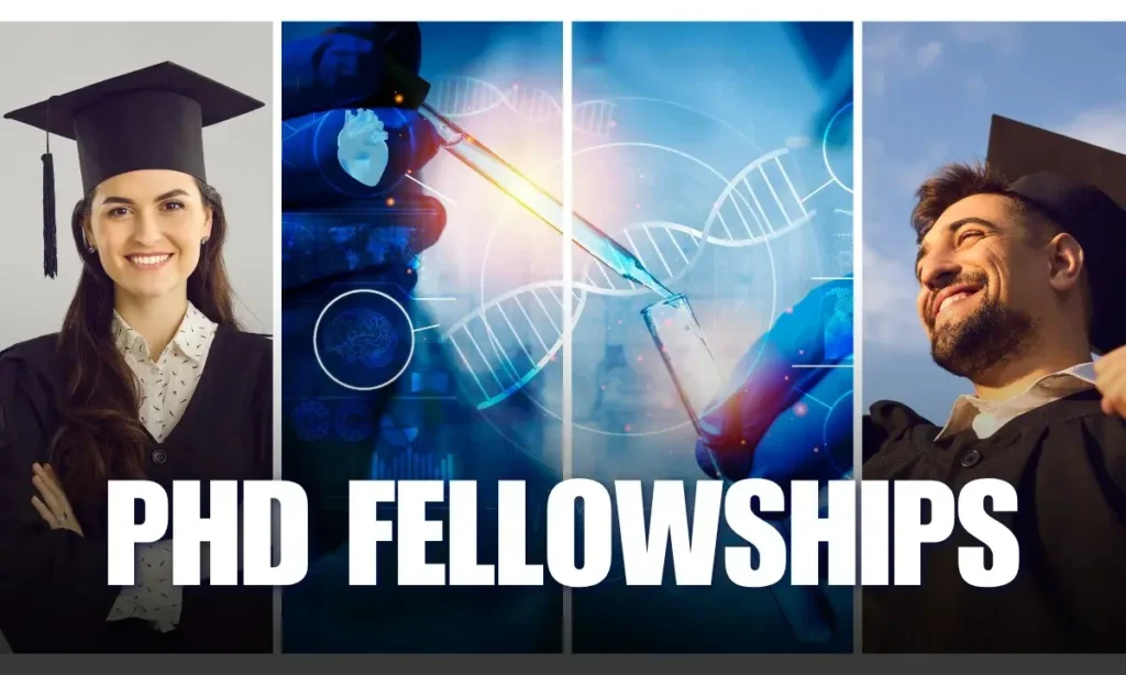 PhD Fellowships for Biotechnology complete 2025 guide